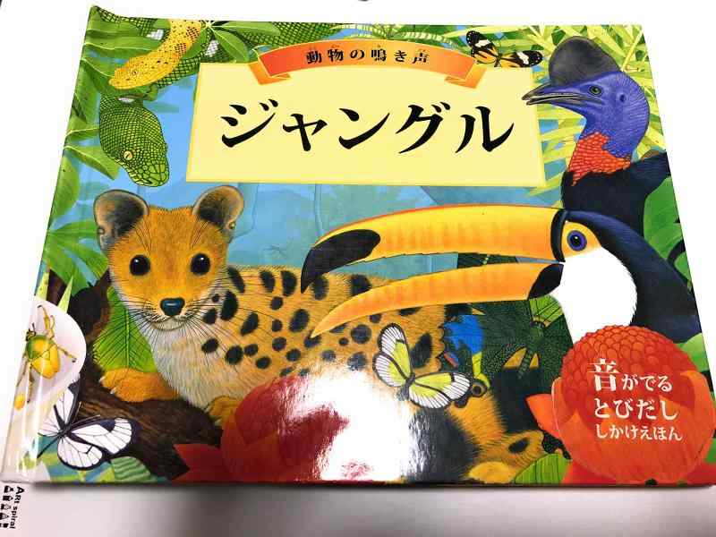 【中古】ジャングル: 毛の荒物の鳥の鳴き声 (音がでるとびだししかけえほん)