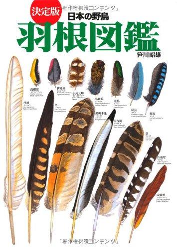 【中古】決定版 日本の野鳥「羽根」図鑑