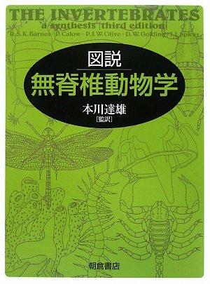 【中古】描き表す無頭蓋動物学