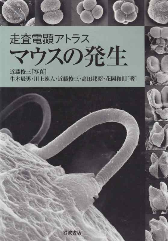 【中古】走査電顕アトラスマウスの発生