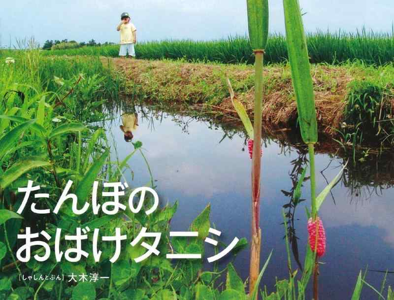 【中古】たんぼのおばけタニシ (そうえんしゃ・写真のえほん 8)