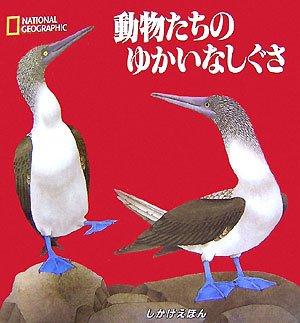 【中古】動物たちのゆかいなしぐさ (しかけえほん NATIONAL GEOGRAPHIC)