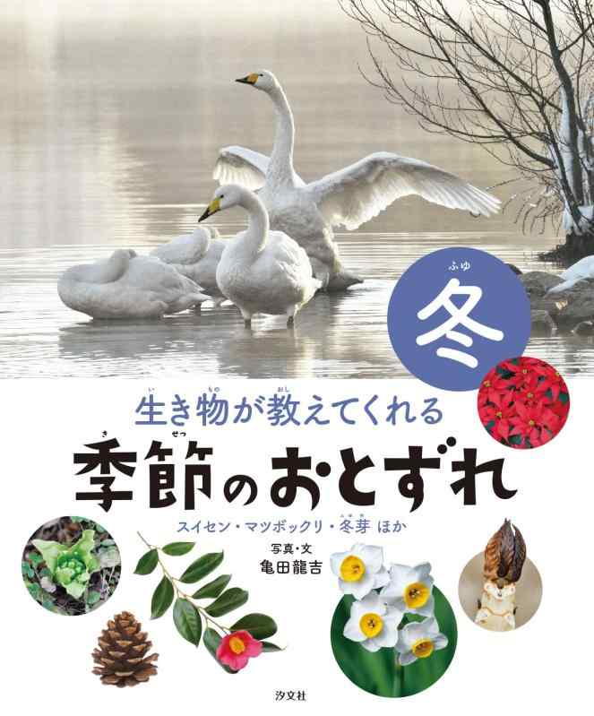 【中古】冬　スイセン・マツボックリ・冬芽ほか (生き物が教えてくれる　季節のおとずれ) 7,349円