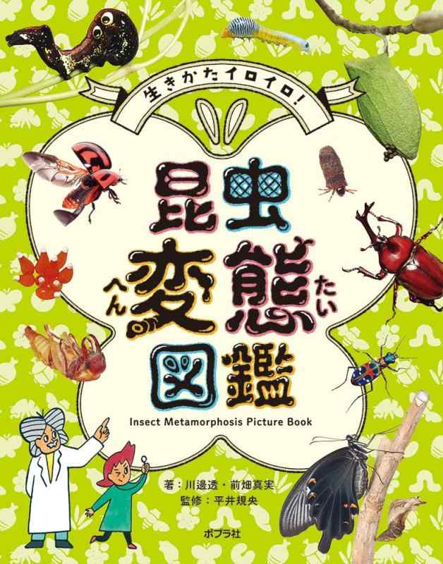 【中古】生きかたイロイロ　昆虫変態図鑑 (単行本 330)