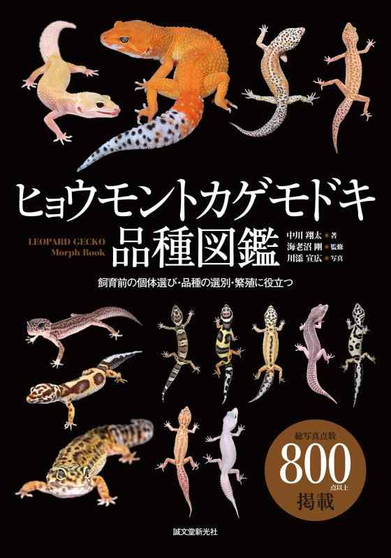 【中古】ヒョウモントカゲモドキ亜種図鑑: 繁殖前の其れ其れ選び・亜種の篩いに掛ける・増さるに役立つ