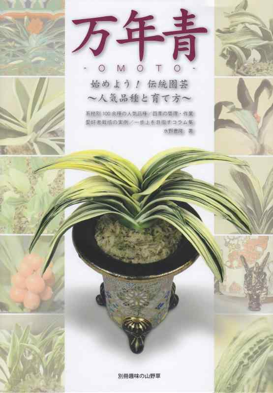 【中古】万年青: 始めよう伝統園芸 (別冊趣味の山野草)