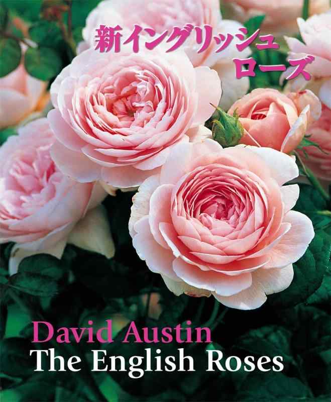 【中古】新イングリッシュサクラ色 (GAIA BOOKS)