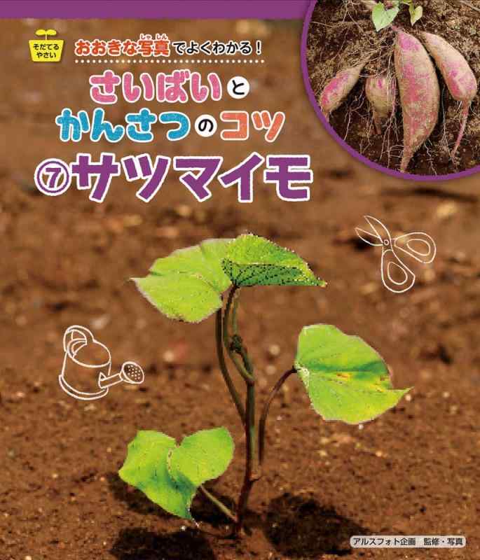 【中古】そだてるやさい おおきな写真でよくわかる さいばいとかんさつのコツ (7) サツマイモ