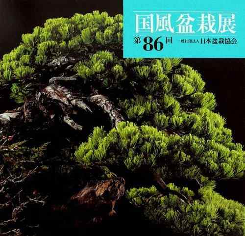【中古】第８６回　国風盆栽展｜ソファポテト