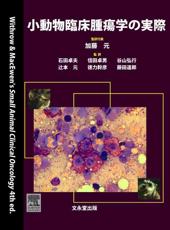 【中古】小動物臨床腫瘍学の実際|ソファポテト