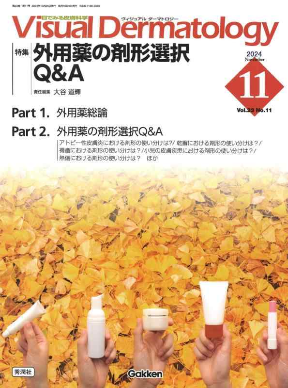 【中古】Visual D. 2024年11月号 Vol.23 No.11