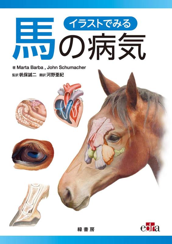 【中古】イラストでみる馬の病気