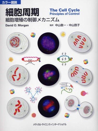 【中古】色合い描き表す 独居室一回り