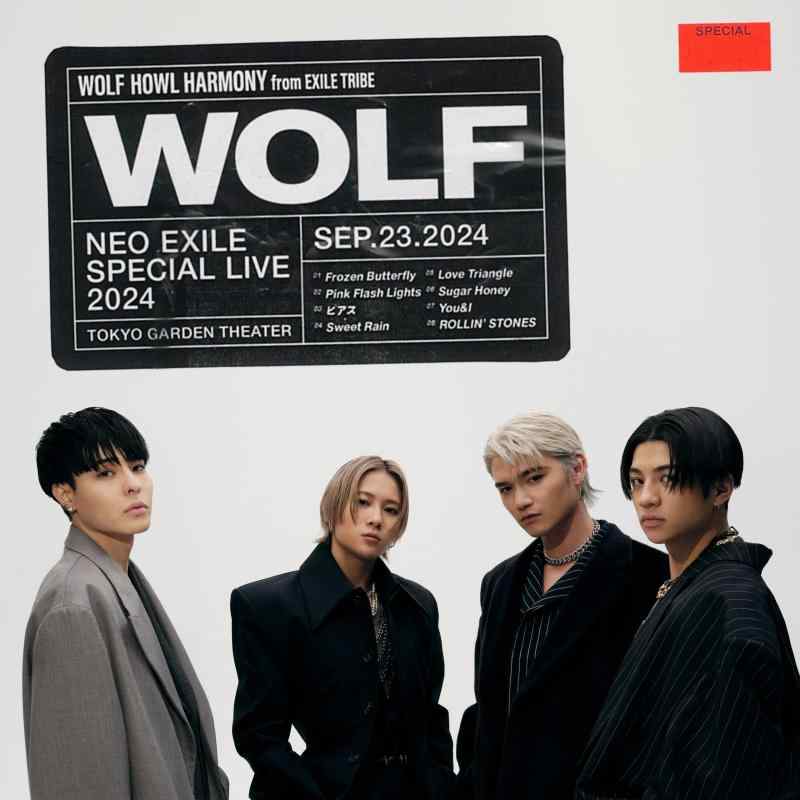 【中古】WOLF(AL+DVD)(LIVE盤)