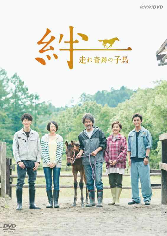 【中古】絆~走れ奇跡の子馬~ [DVD]｜ソファポテト