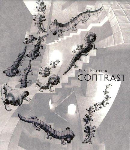 【中古】M.C.エッシャー CONTRAST [DVD]｜ソファポテト