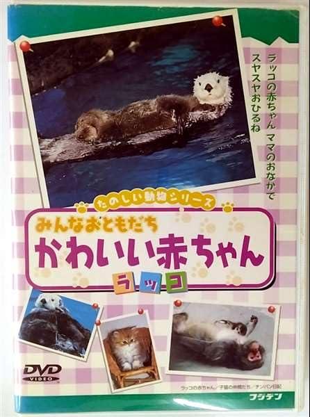 【中古】みんな おともだち かわいい赤ちゃん(ラッコ) [DVD]