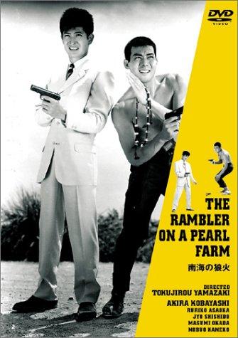 【中古】南海の狼火 [DVD]