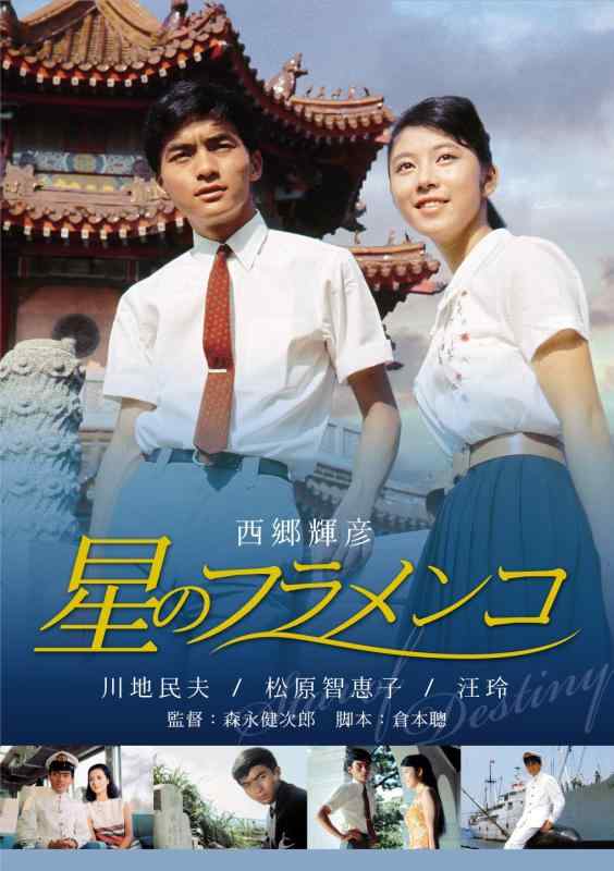 【中古】星のフラメンコ [DVD]