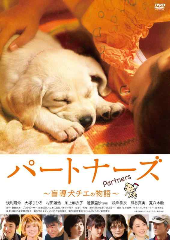 【中古】パートナーズ　～盲導犬チエの物語～ [DVD]