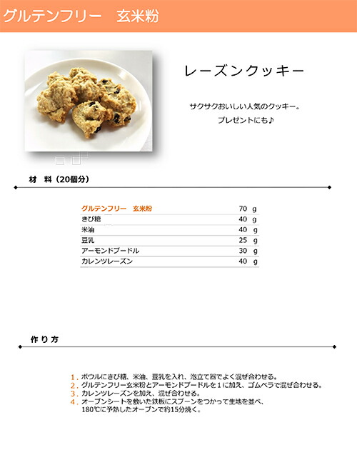 市場 送料無料 グルテンフリー 玄米粉 300g 10個セット
