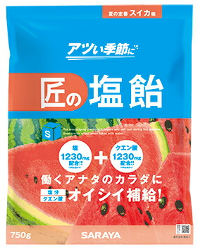 まとめ買い 750ｇ 匠の塩飴 熱中症対策 総合防災センター 店 スイカ味 防災関連グッズ その他 10袋 箱 送料無料 750ｇ 代引不可