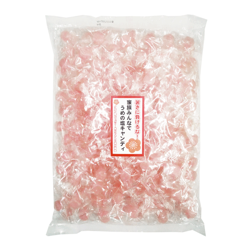 梅塩飴 1kg 10袋 箱