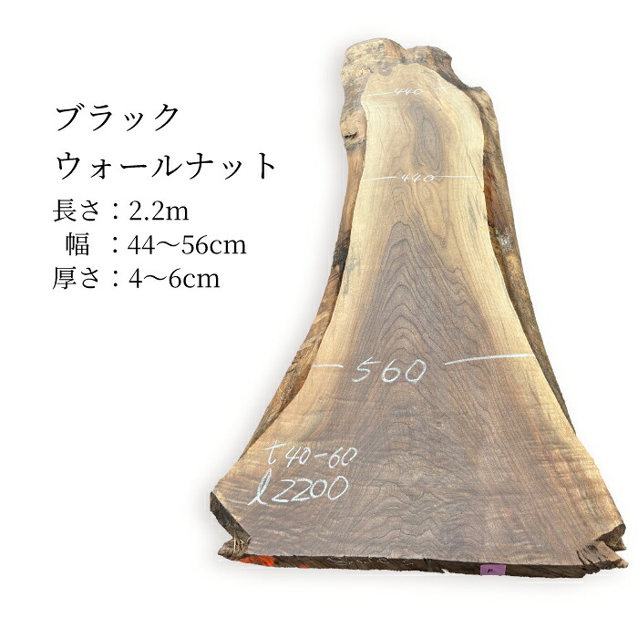 売れ筋 在庫あり  【MOQ081F5CDC】 限定デザイン