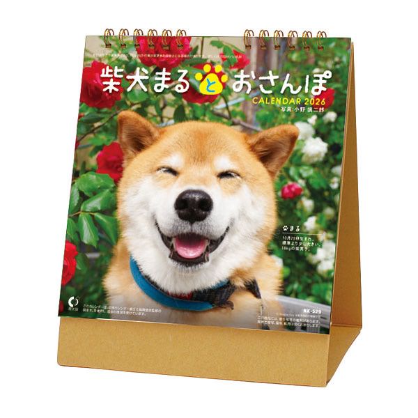 卓上カレンダー 10冊 名入れ30冊から 柴犬まるとおさんぽ 送料無料 22年 令和4年 カレンダー 名入れカレンダー 印刷 社名 団体名 小ロット Dancestudiono1 Com