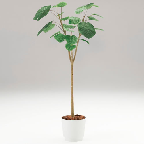 オフィスや店舗などのインテリアにおすすめ 人工観葉植物 H180cm カレン イトーキ H180cm 人工樹木 自社便 開梱 設置付 ウンベラータ 人工観葉植物 イトーキオンラインショップ イトーキ
