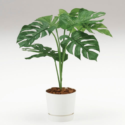 人工樹木 人工 観葉植物 フェイクグリーン モンステラ H90cm イトーキ ITOKI カレン [ 自社便 開梱 設置付 ] ITOKI｜イトーキオンラインショップ