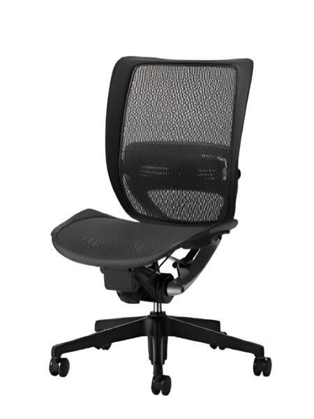 オフィスチェア 事務椅子 デスク用チェア 椅子 エスエフアール チェア SFR CHAIR ヘッド無 座メッシュ 肘無 SFR-72