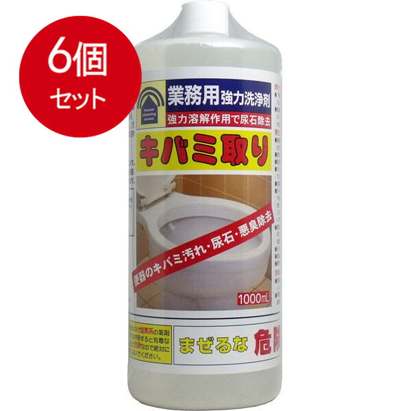 6個まとめ買い 業務用強力洗浄剤 キバミ取り 1000mL送料無料 × 6個セット