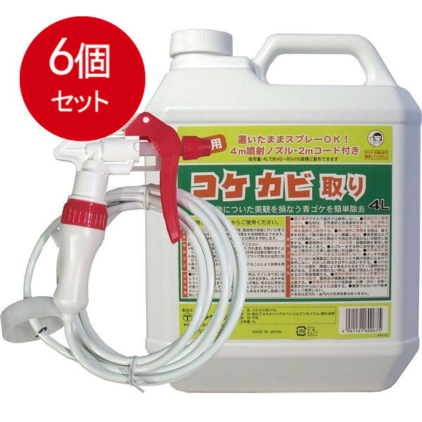 6個まとめ買い 屋外用　コケカビ取り　4Lタイプ　噴射ノズル付き　送料無料 × 6個セット