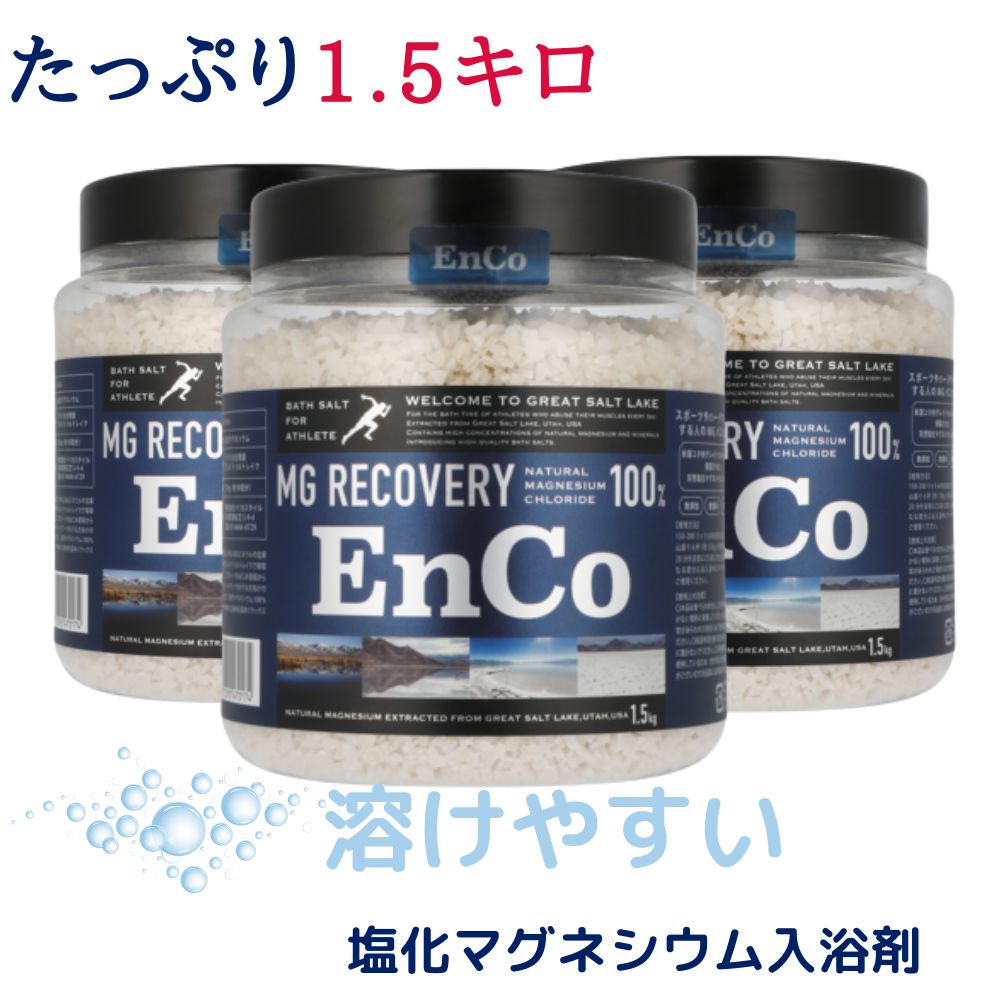 EnCo(エンコ) 天然塩化マグネシウムバスソルト 3000gの業務用