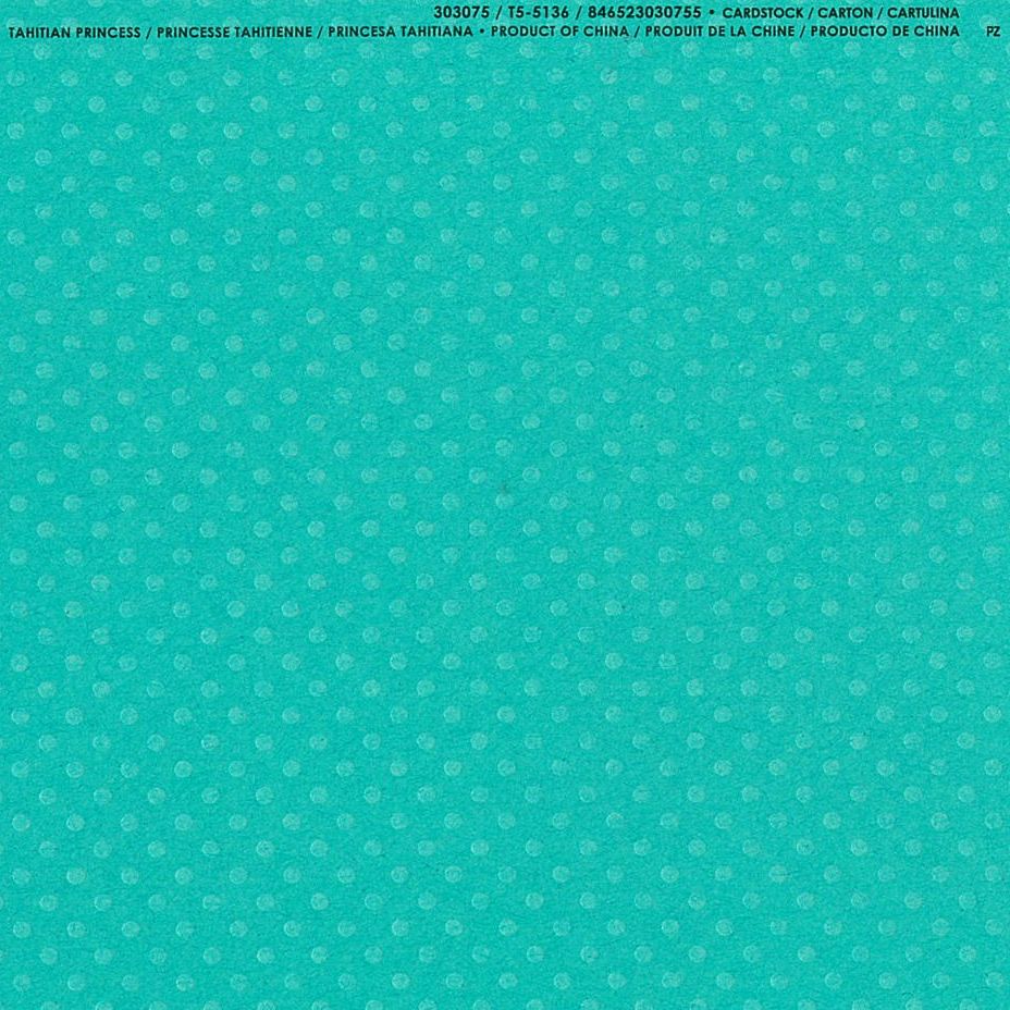 楽天市場】【American Crafts/アメリカンクラフト】 Bazzill Paper