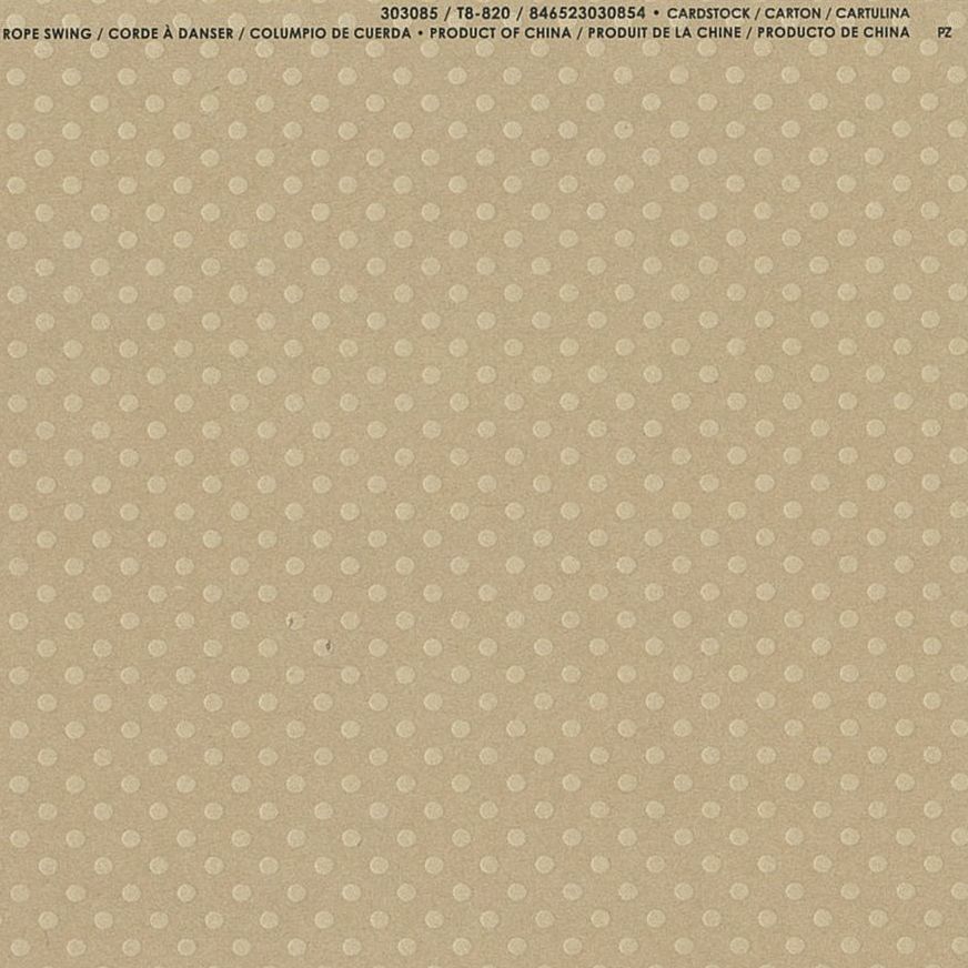 楽天市場】【American Crafts/アメリカンクラフト】 Bazzill Paper