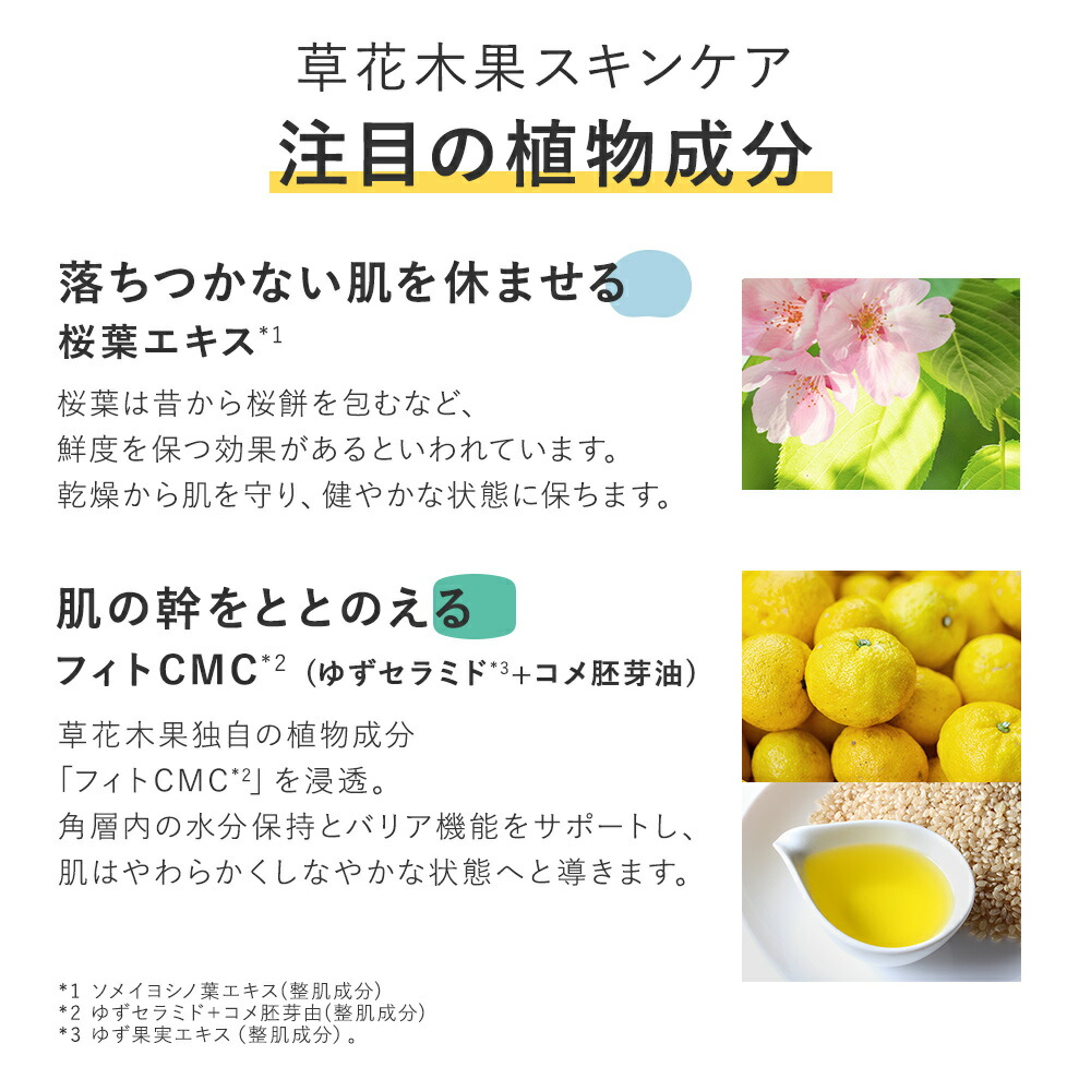 パーク 仲良し 喉頭 草花 木 果 どくだみ 石鹸 数学 みなす 酔っ払い