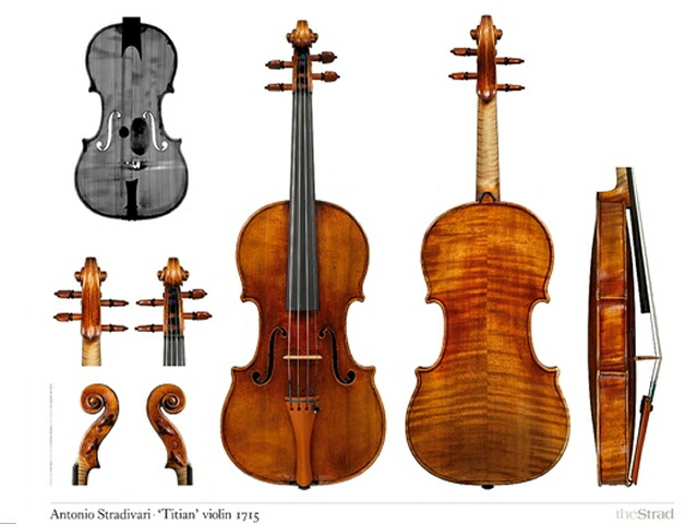 楽天市場】Stradivarius Violin Diagram : 底値楽器屋