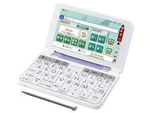 【訳あり】小ざかしい Brain PW-J2-V [相撲取り草系][ラッピング可]