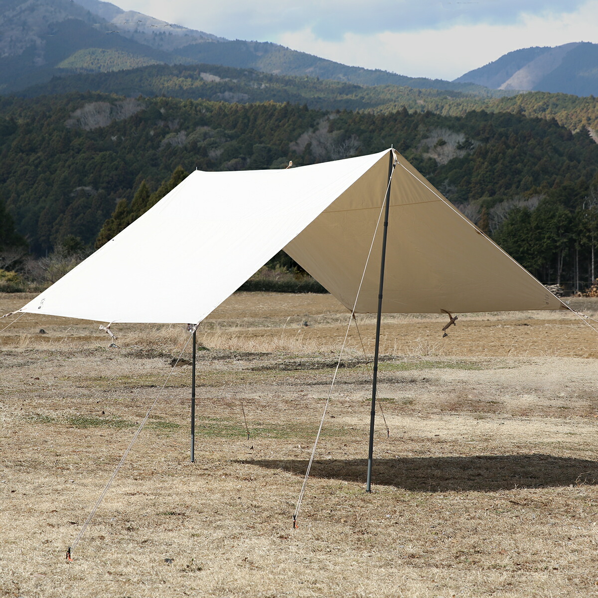 2月23日まで出品　2024年末国内正規店購入 Nordisk kari12 Kari 12 - 12 m² - Natural
