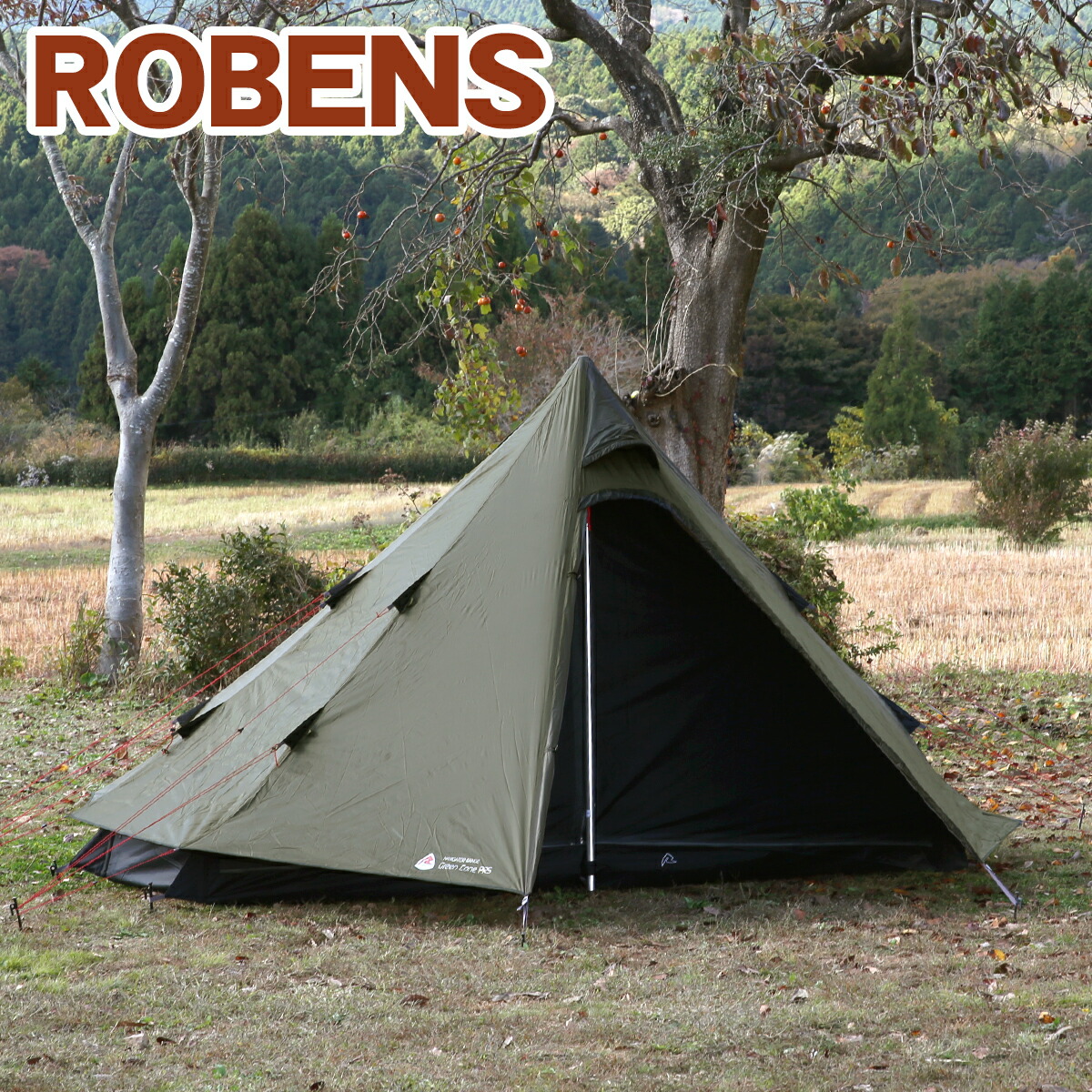 rbs130305-1.jpg
