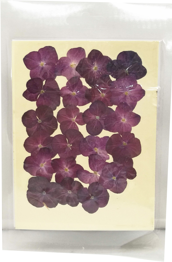 楽天市場】【即納】 クリアリウム 押し花 バーベナ ネイビー 40輪 草花 固まるハーバリウム : お花の贈り物 -solar- そらーる