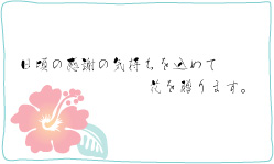 楽天市場 即納 メッセージカード 9 ハイビスカス 日頃の感謝の気持ちを込めて花を贈ります お花の贈り物 Solar そらーる