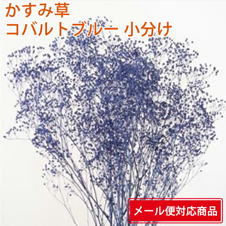 市場 メール便 かすみ草 コバルトブルー ソフトミニカスミソウ 小分け カスミ草 対応