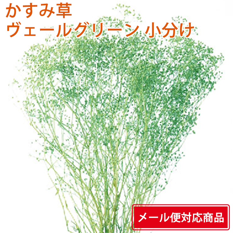 no.26057 ミニカスミ草 白 新品 大地農園 かすみ草 素材/材料 各種