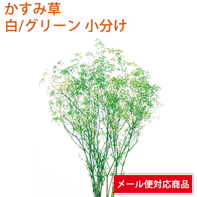 ヴィンテージ復刻 no.26080 ミニカスミ草 白 新品 大地農園 かすみ草