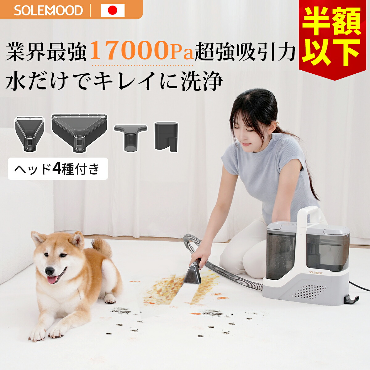 楽天市場】＼マラソンセール50％OFFクーポン／ 初売り 福袋 カーペット