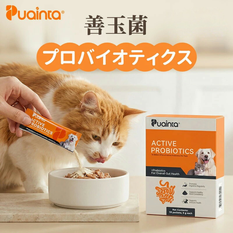 意味有りげな愛犬・愛猫の耳世話をするはお済みですか？