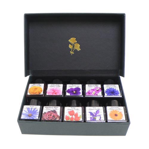 DIAMINE(ダイアミン) 目あたらしいインキ お花仕掛ける 30ml×10色 日用品雑貨・文房具・手芸-万年筆用インク